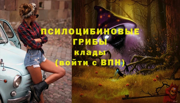 амф Балахна